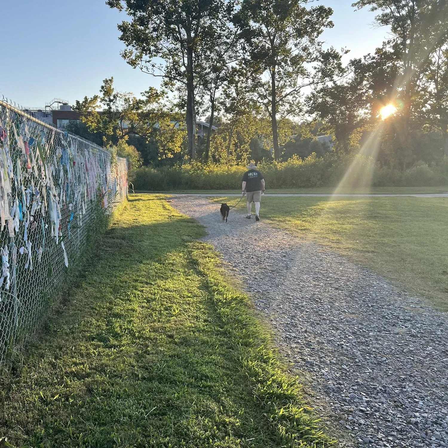Day 108 (9/3/25)