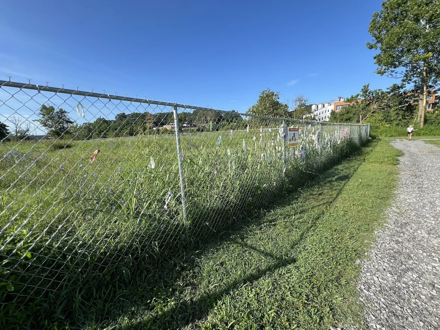 Strips are beginning to extend up the fence — reaching beyond the box and closer to Riverside Drive.