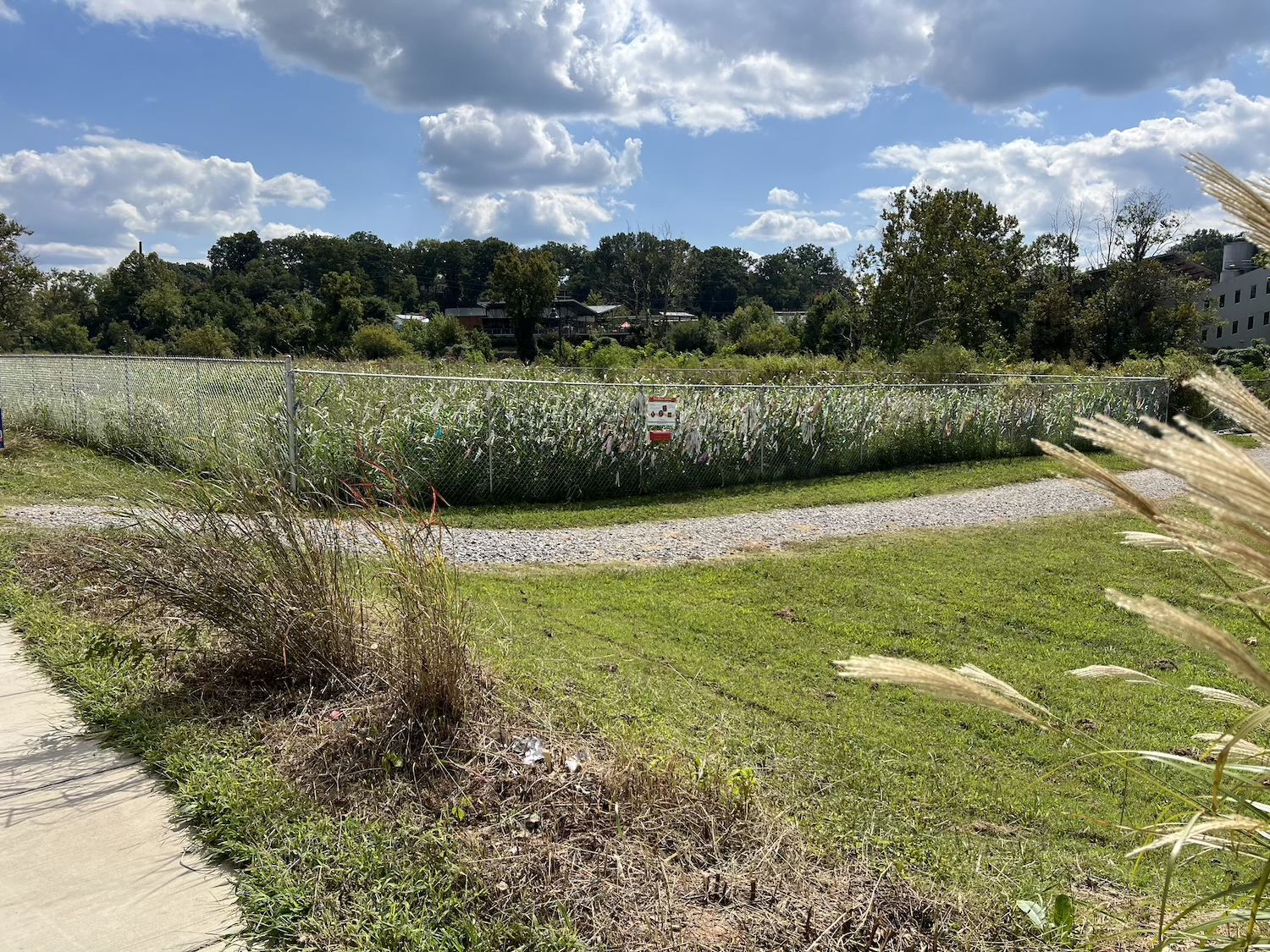 Removal of ornamental grass increases visibility of the installation from Riverside Drive.