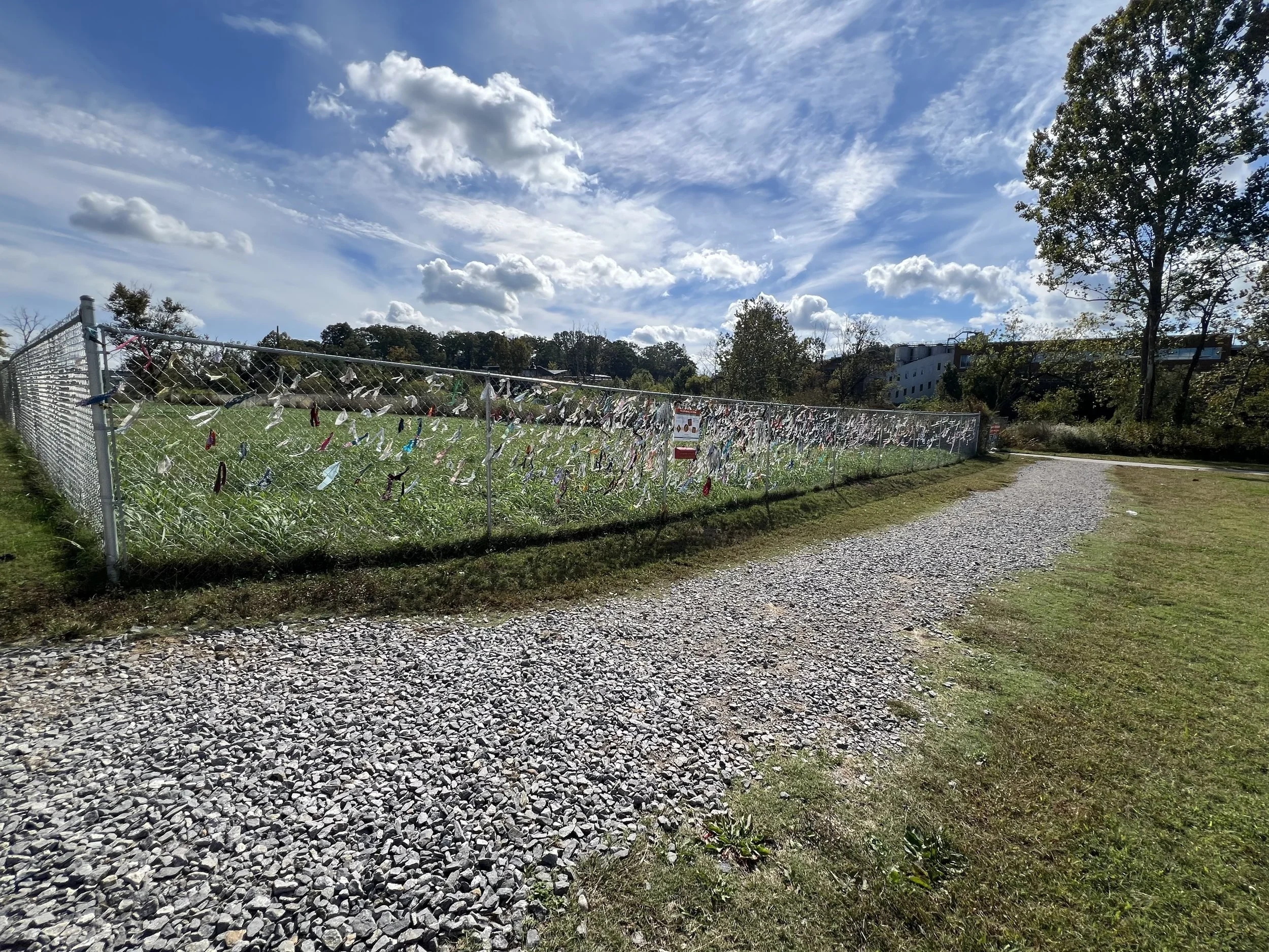 Fabric strips move in the breeze beside Riverside Drive.