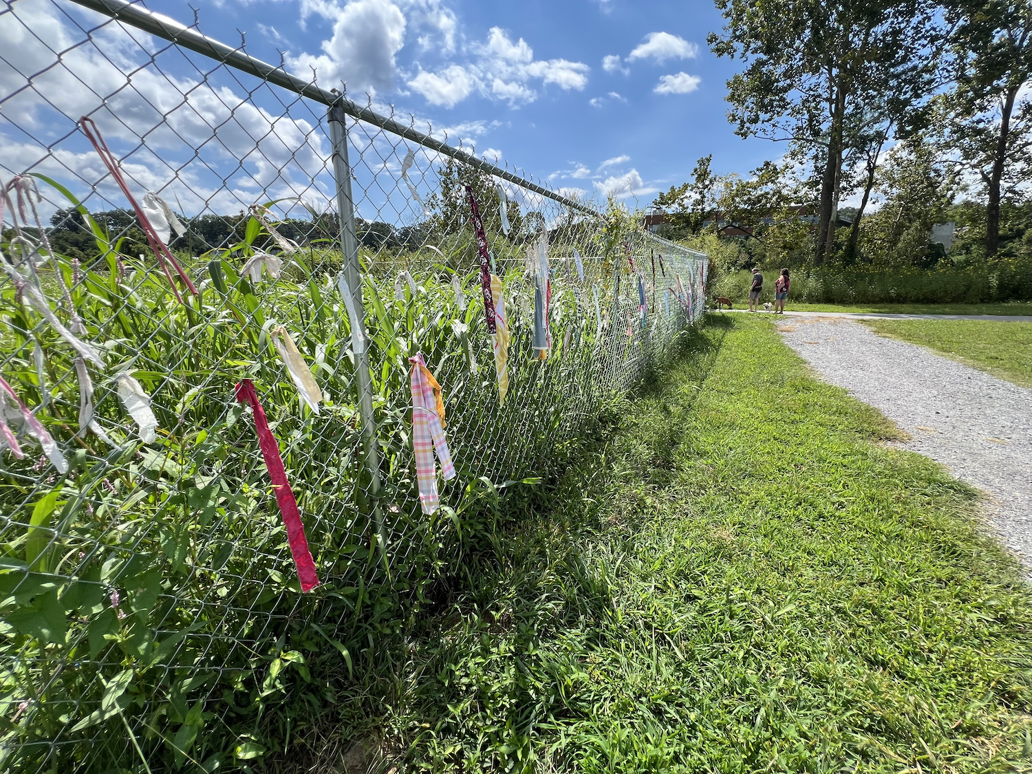 Couple walking dogs beside expanding textile accumulation along the riverside fence.