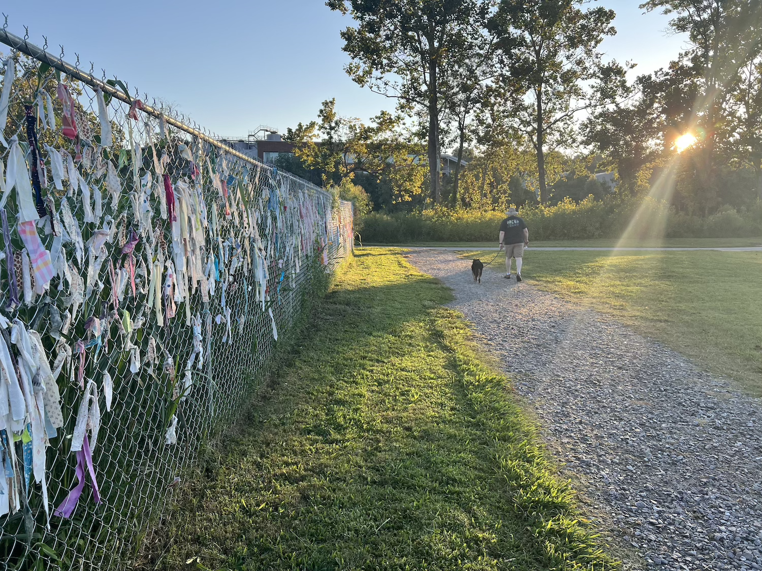 Evening dog walker passing the installation as sunset light fills the corridor.