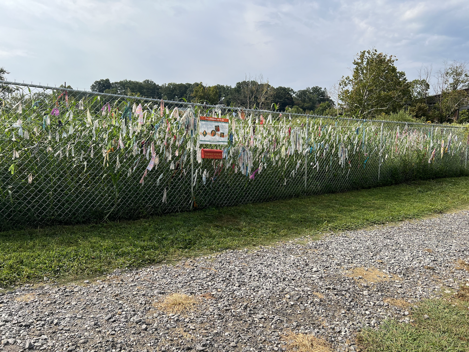 Dense textile accumulation surrounds the newly installed orange participation box.