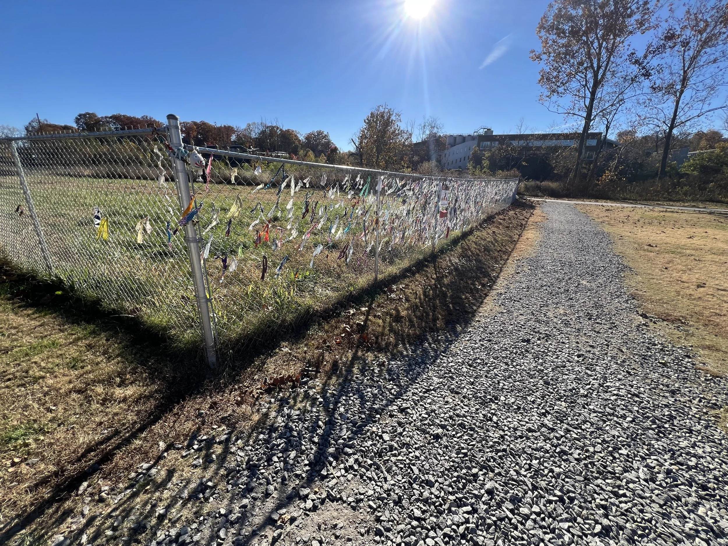 Autumn sunlight casts long fence shadows across the roadside corridor.