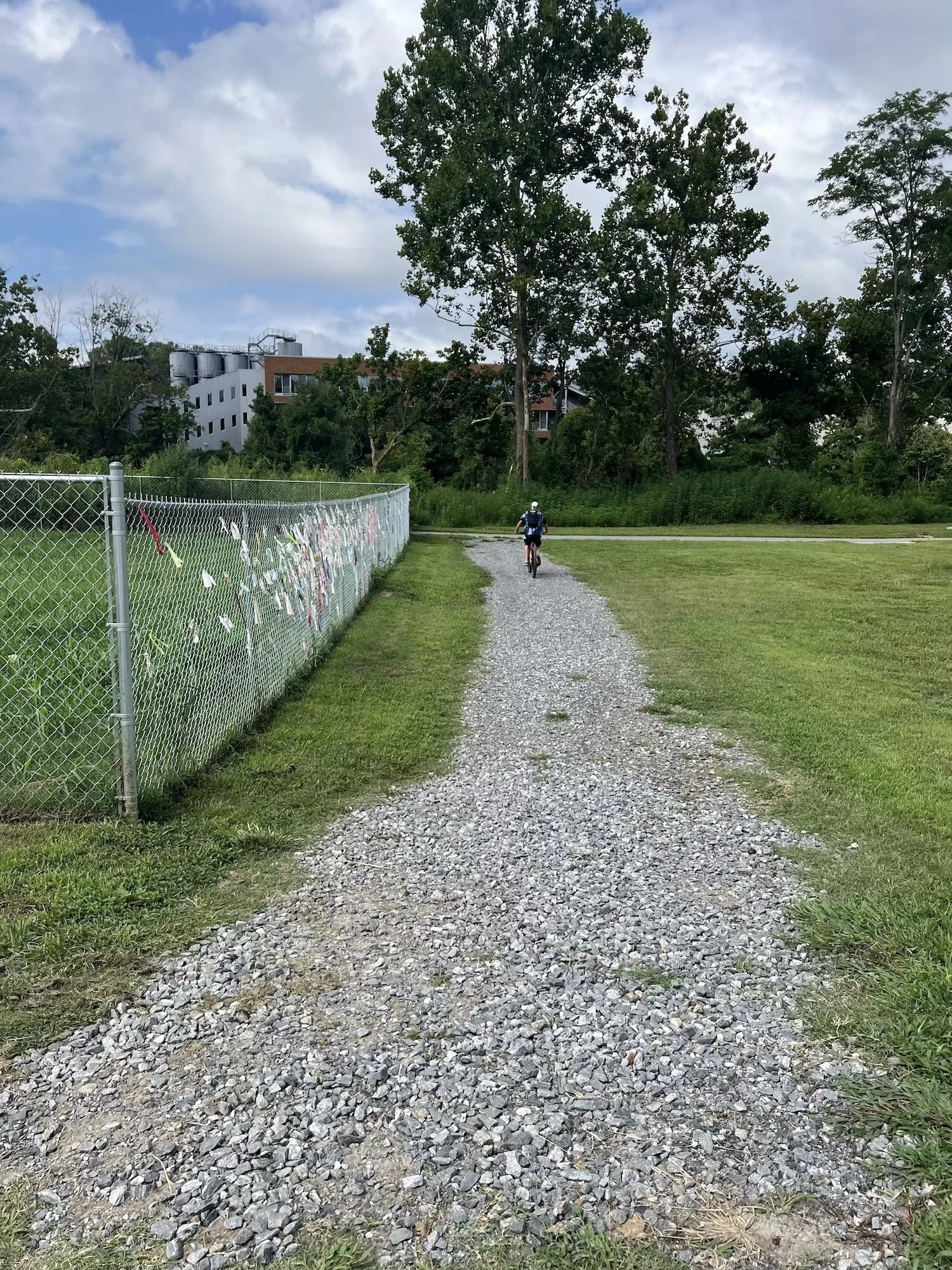 Cyclist passing installation on the nearby gravel path. 