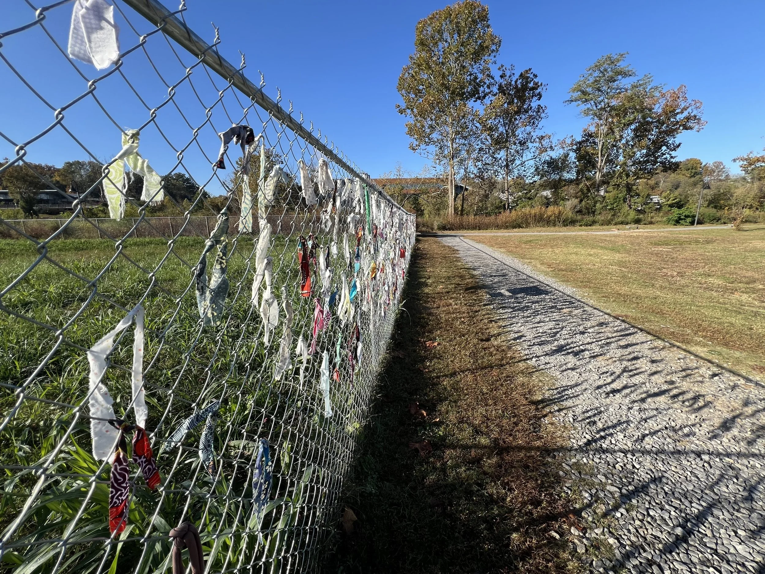 Autumn leaves begin collecting along the base of the fence installation.