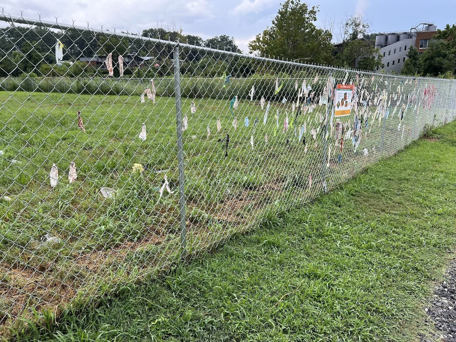 Participation spreads farther along the fence during a rainy maintenance visit.