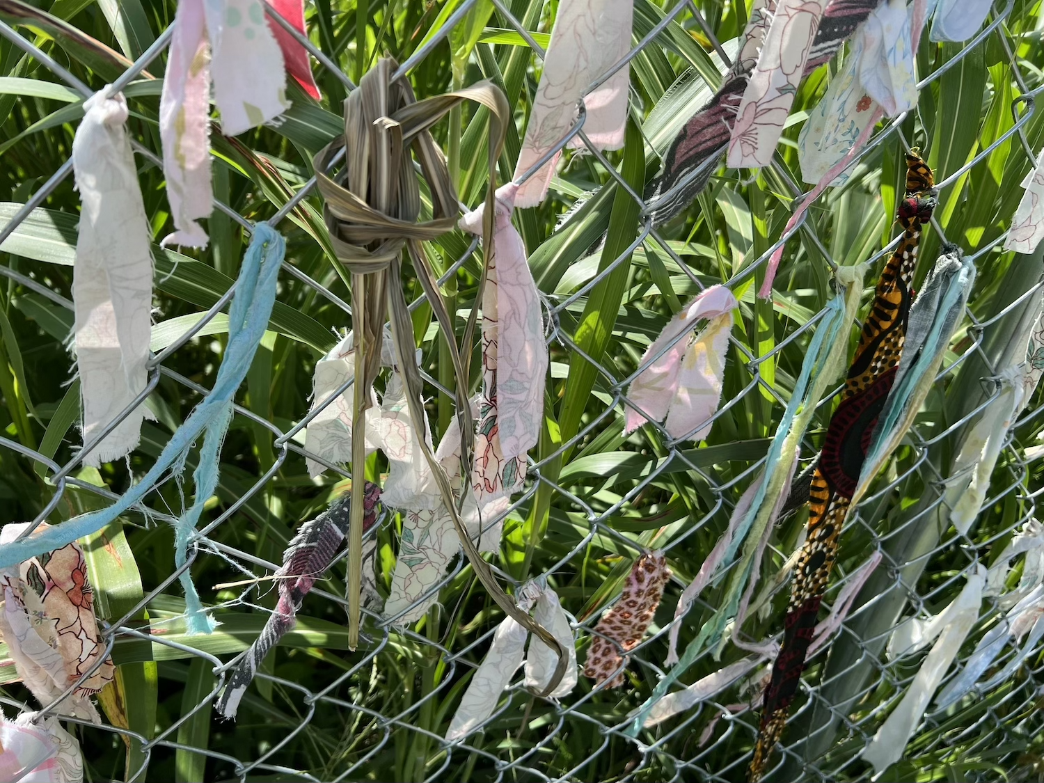 Wild grass tied to the fence among weathered and newer fabric strips.
