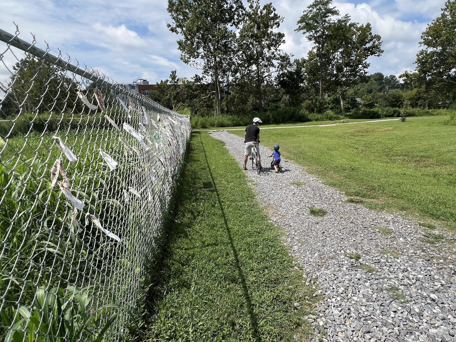Father coaching a child learning to ride along the gravel path beside the fence.