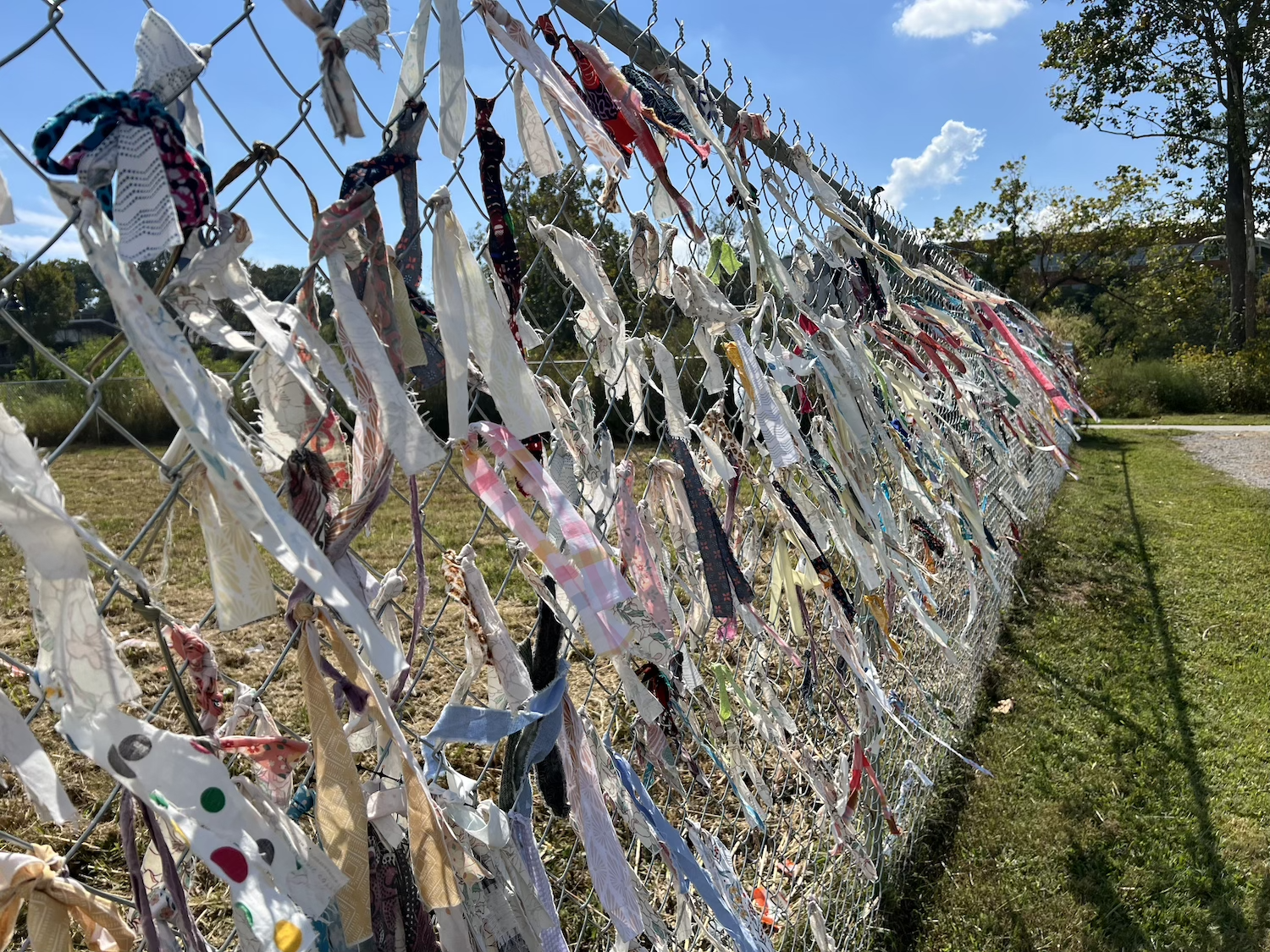 Reverse view of the installation facing toward the river corridor.
