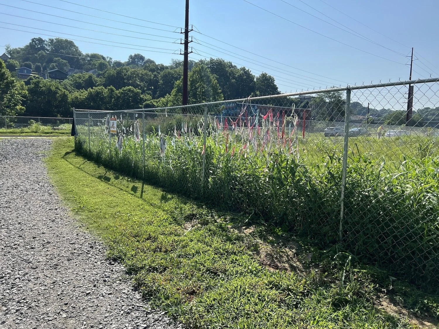 Trash bag placed for pickup on the roadside corner of the growing fence installation.