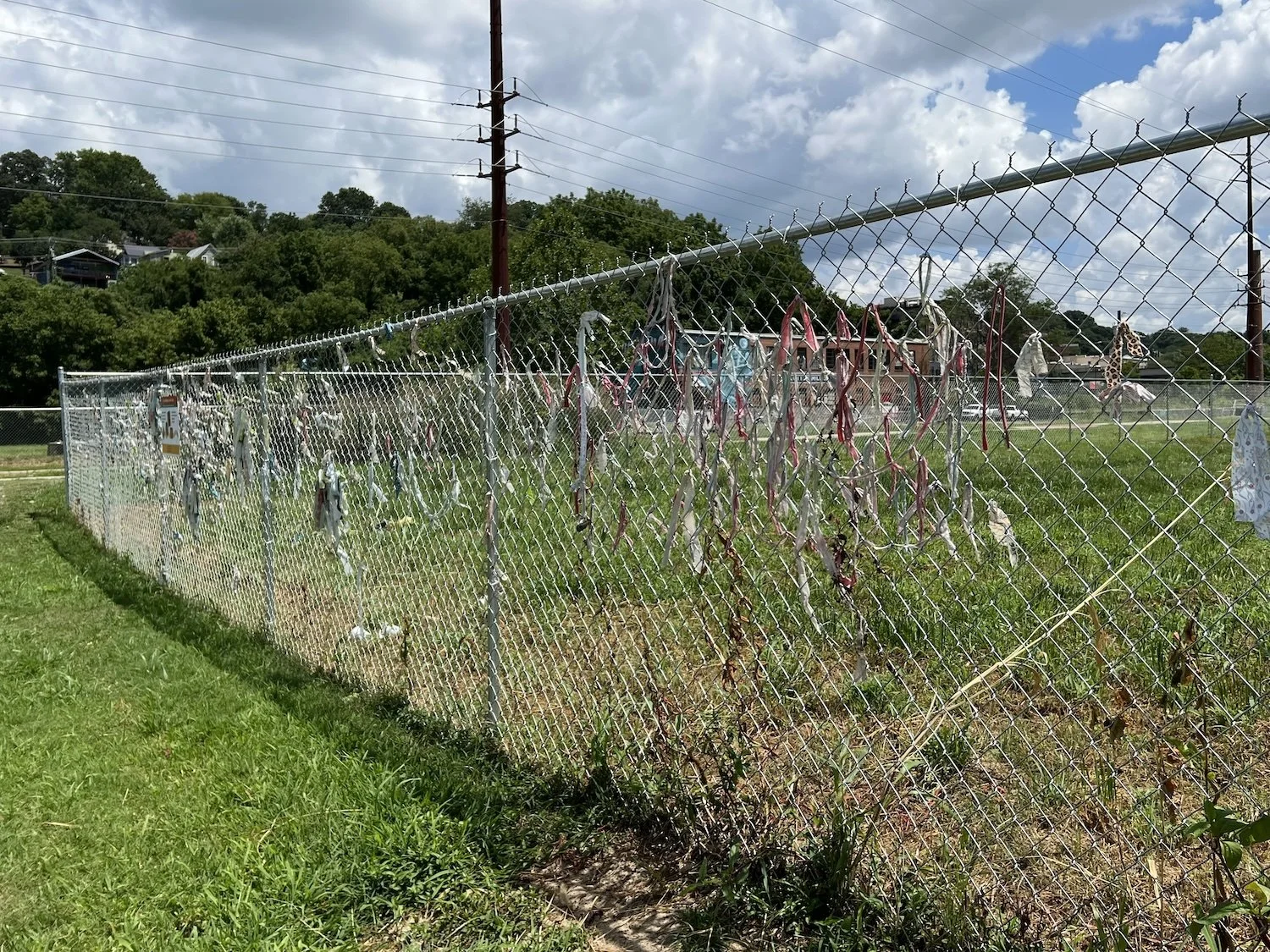 Textile accumulation continues as vegetation inside the fence is clearcut.