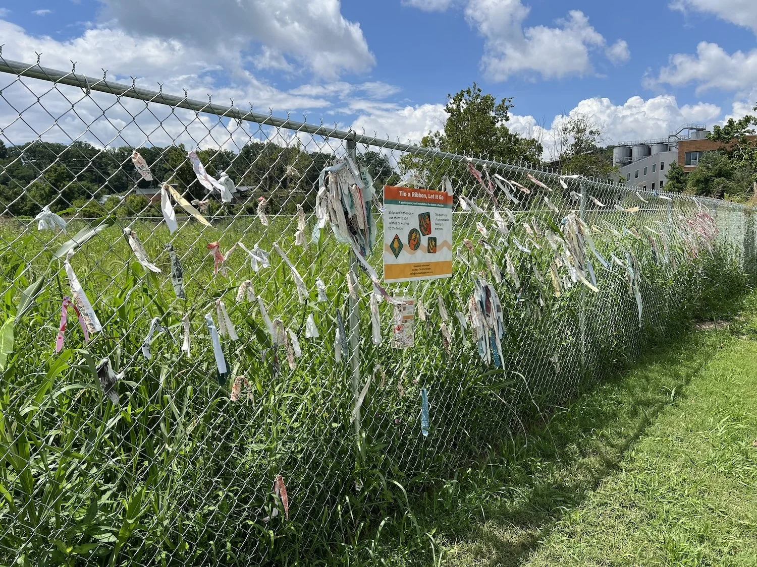 Ongoing accumulation surrounds the project sign during a maintenance visit.
