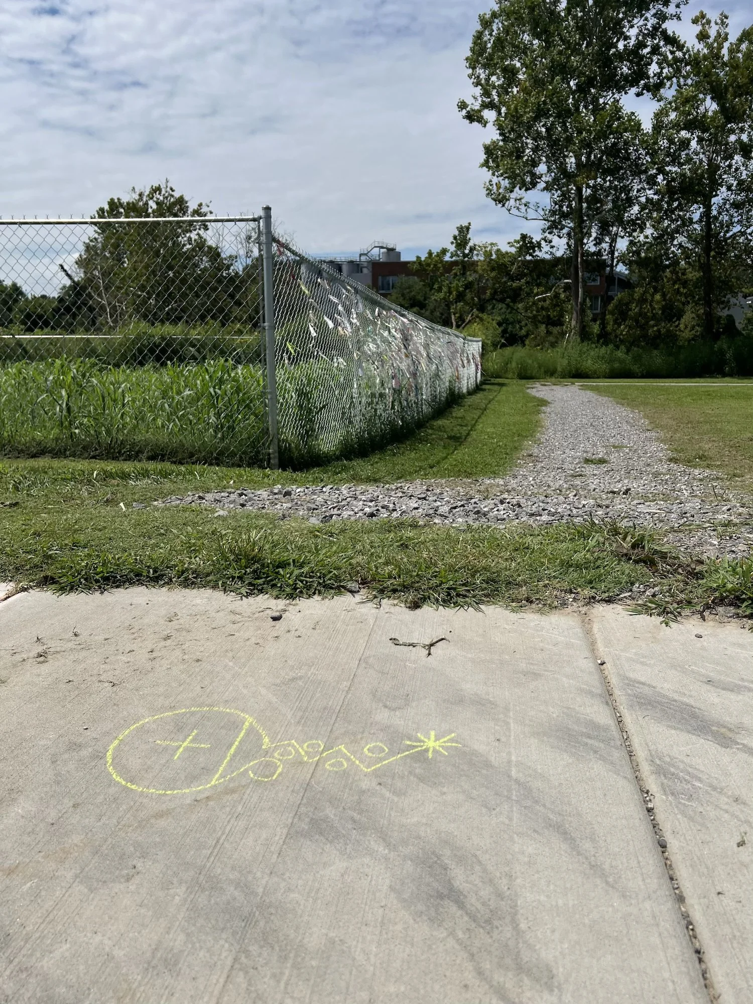 Temporary chalk drawing appears beside the installation corridor.