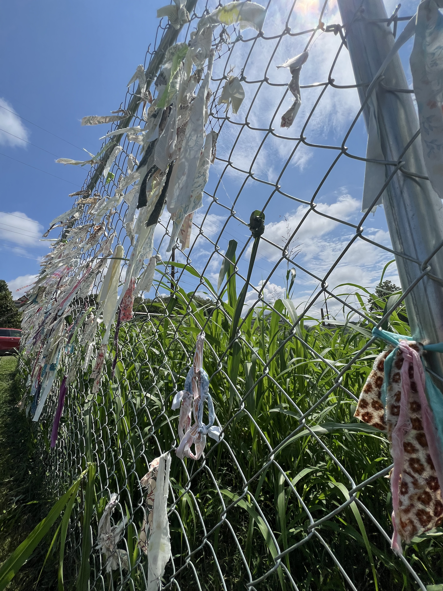 Grass tied to the fence in place of a fabric strip contribution.