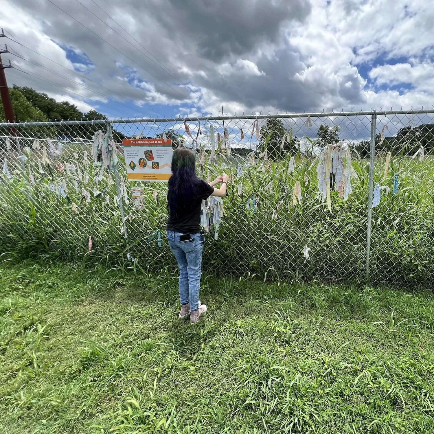 Day 62   (July 19, 2025)