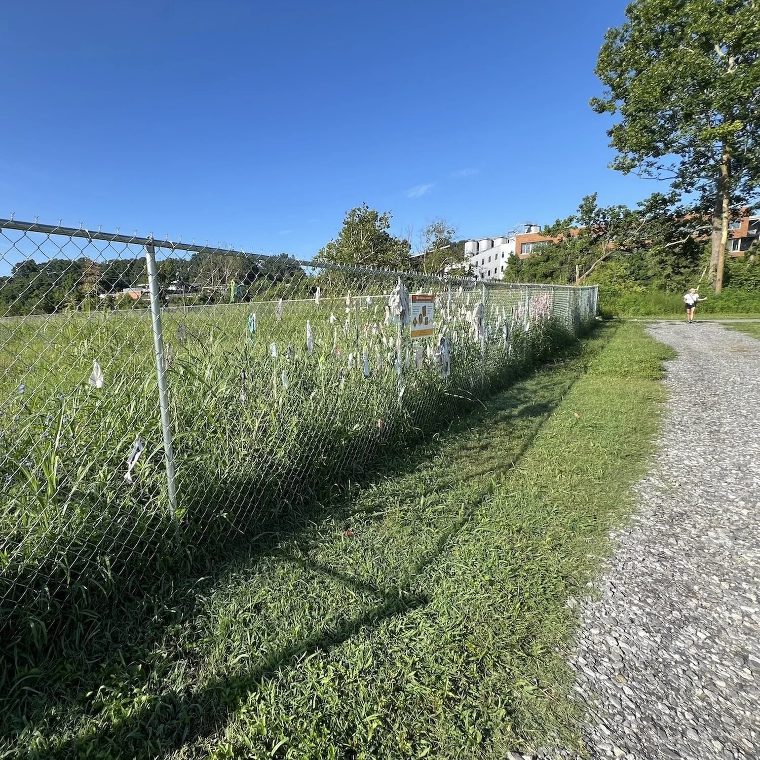 Day 58   (July 15, 2025)