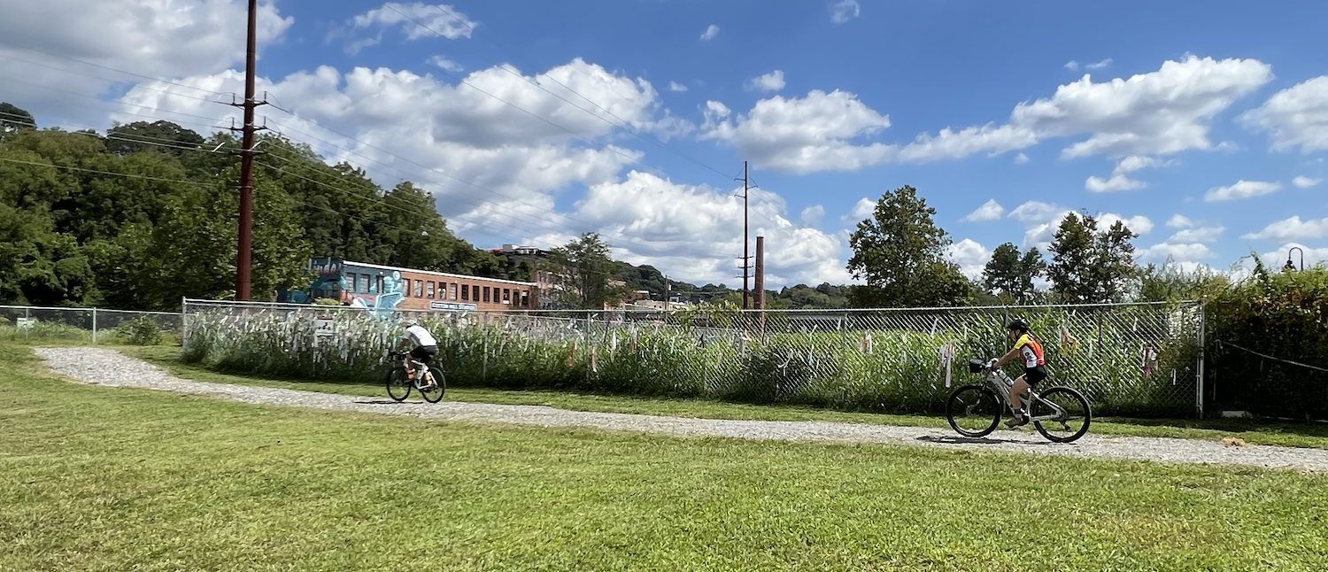 Cyclists passing the full length of the installation.
