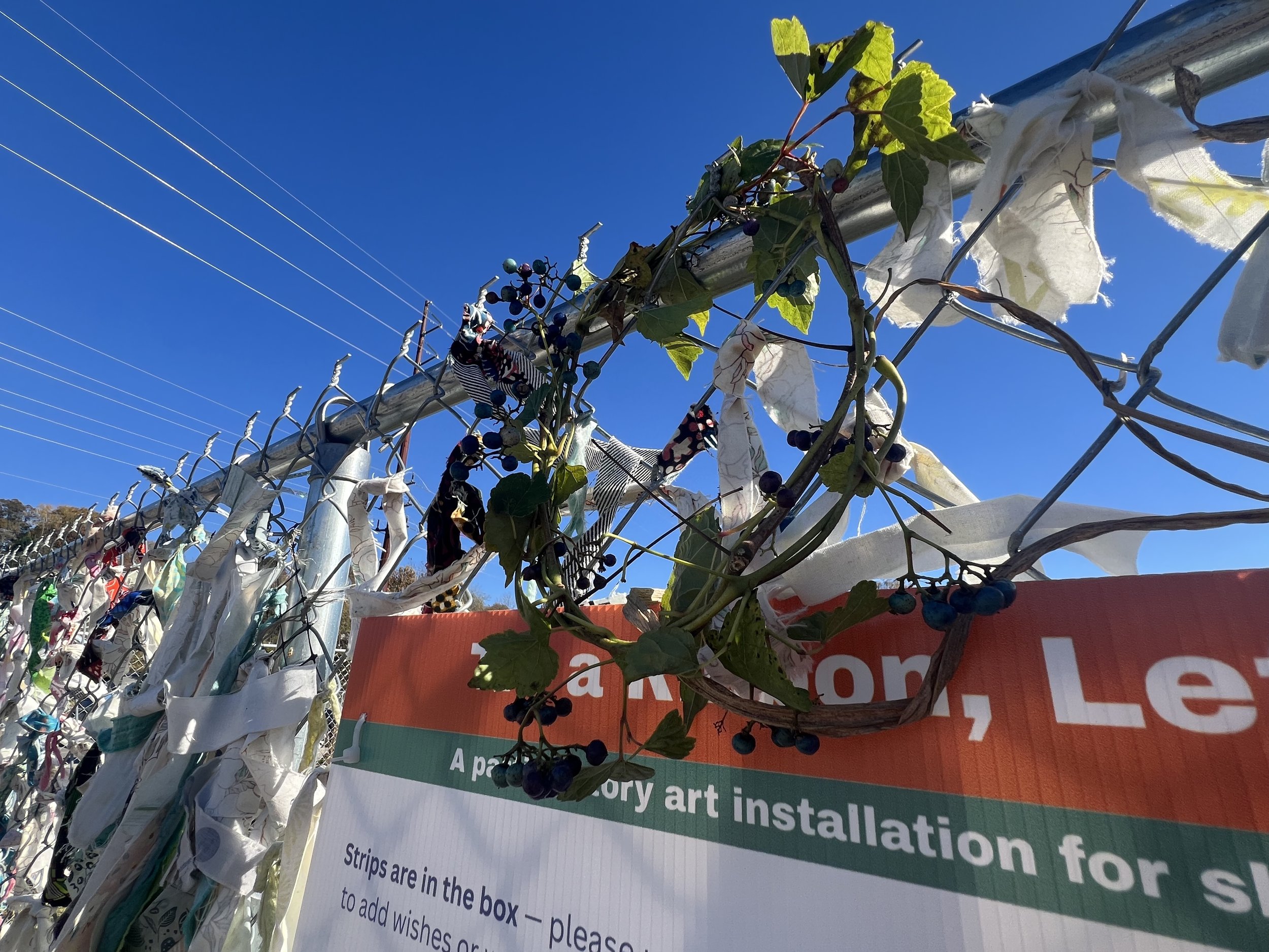 Handmade vine and berry crown hung above the participation station.
