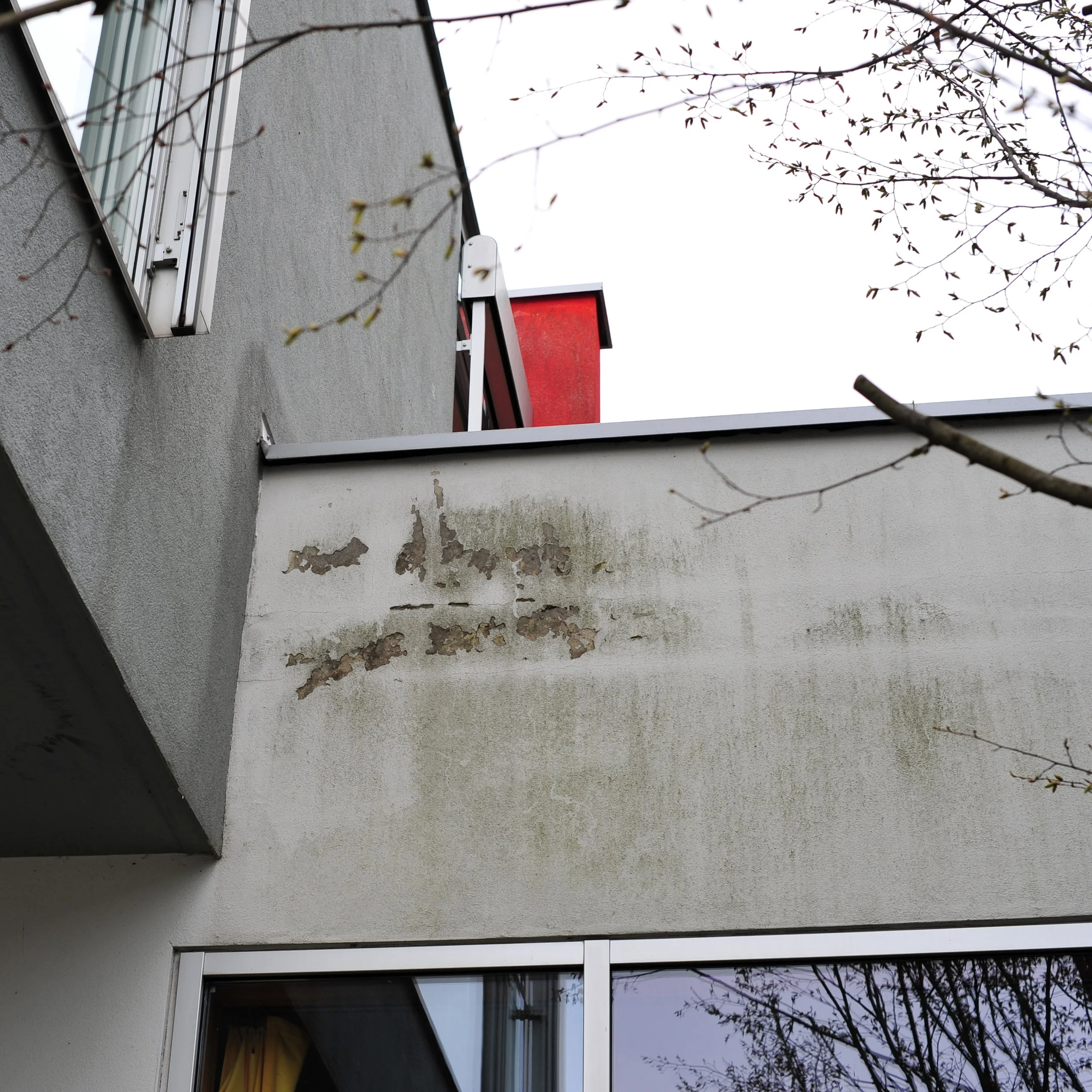 Fassadensanierung Fassadenschäden Veralgung Feuchtigkeitsschäden Putzschäden Fassadenputz