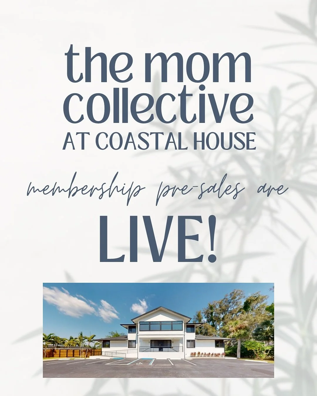 ITS HAPPENING!! 

We are about 60-ish days away from opening the doors to @coastalhousecollective &amp; we cannot wait for you to see everything we&rsquo;ve been working on 🍋🌸

Membership pre-sales are happening NOW and founders rates are available