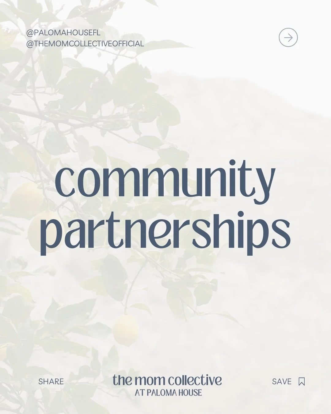 Want to reach St. Pete moms? 🌿 Partner with The Mom Collective at Paloma House!

We&rsquo;re opening up exclusive spots for local businesses and entrepreneurs to connect with our community through:
🍋 Signature events sponsored by you
🍋 Social medi