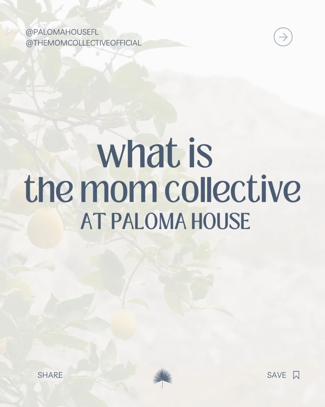 The Mom Collective is coming HOME to Paloma House 💛

Opening January 5th, 2026 in St. Pete ✨
Your modern Mediterranean-inspired space to connect, work, recharge &amp; feel like you again.

🍋 Social events
🍋 Wellness classes
🍋 Co-working
🍋 Worksh