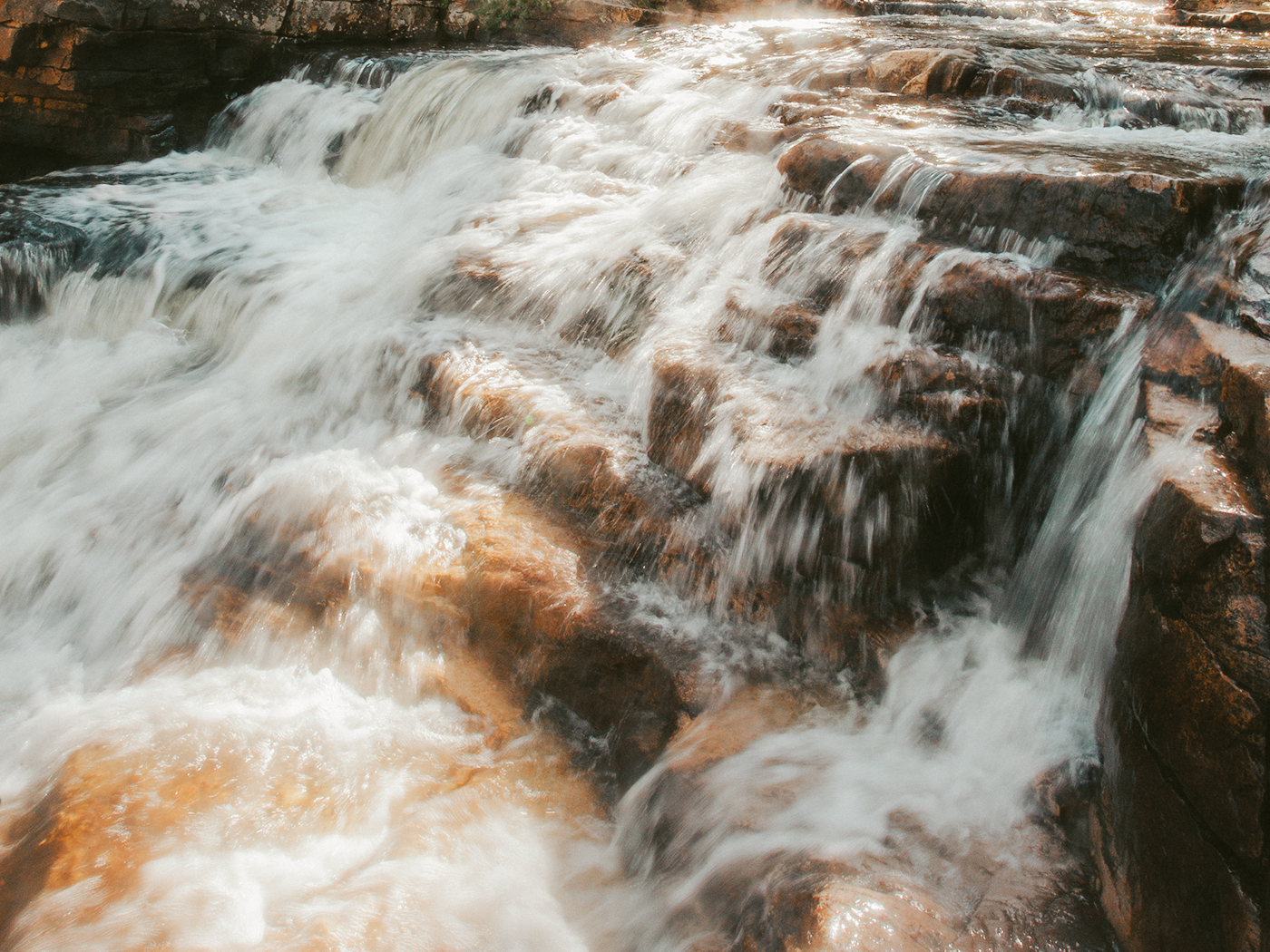 forest_light_2Z7A2882.png