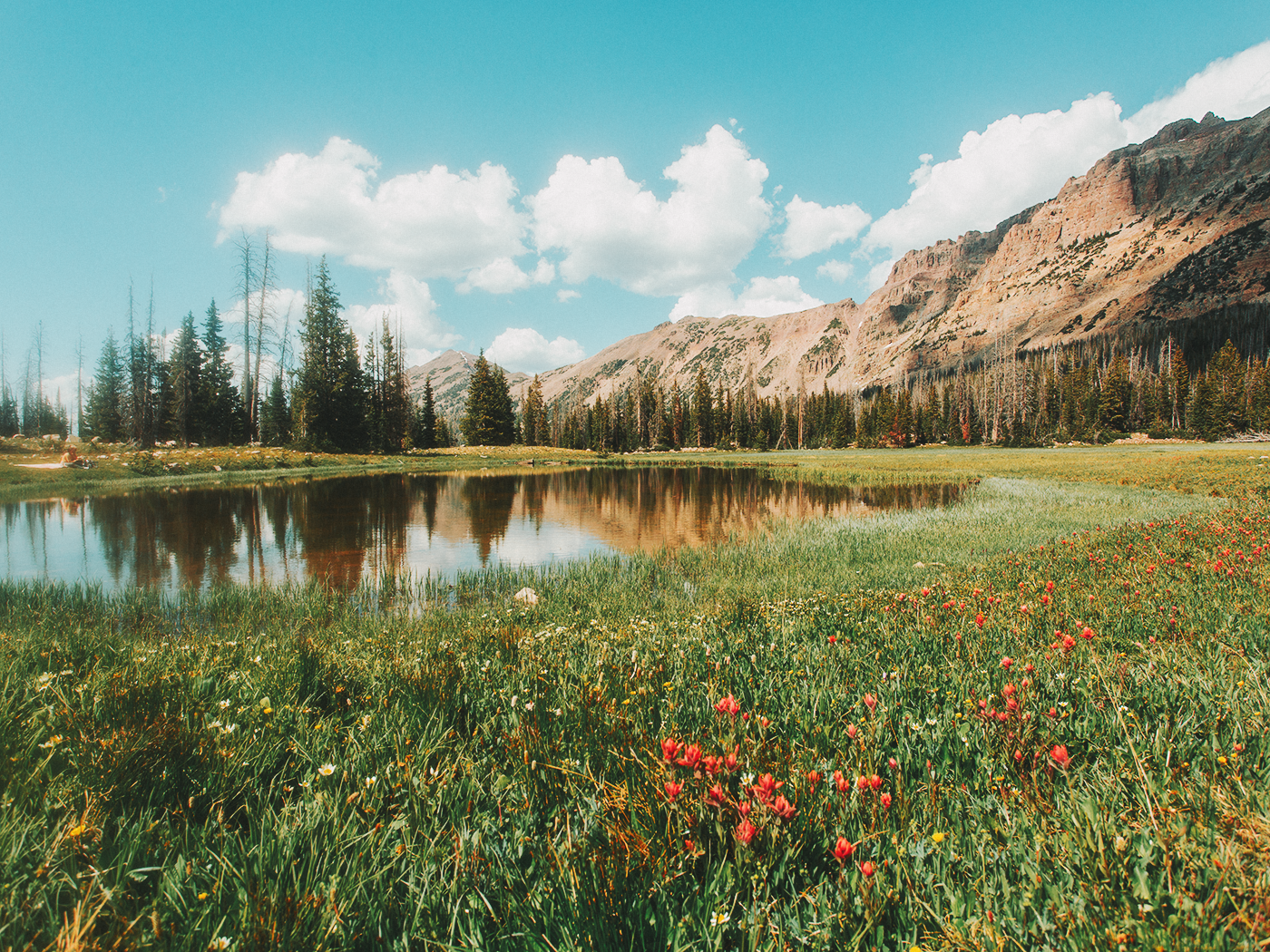 uinta_wilderness_2Z7A2409.png
