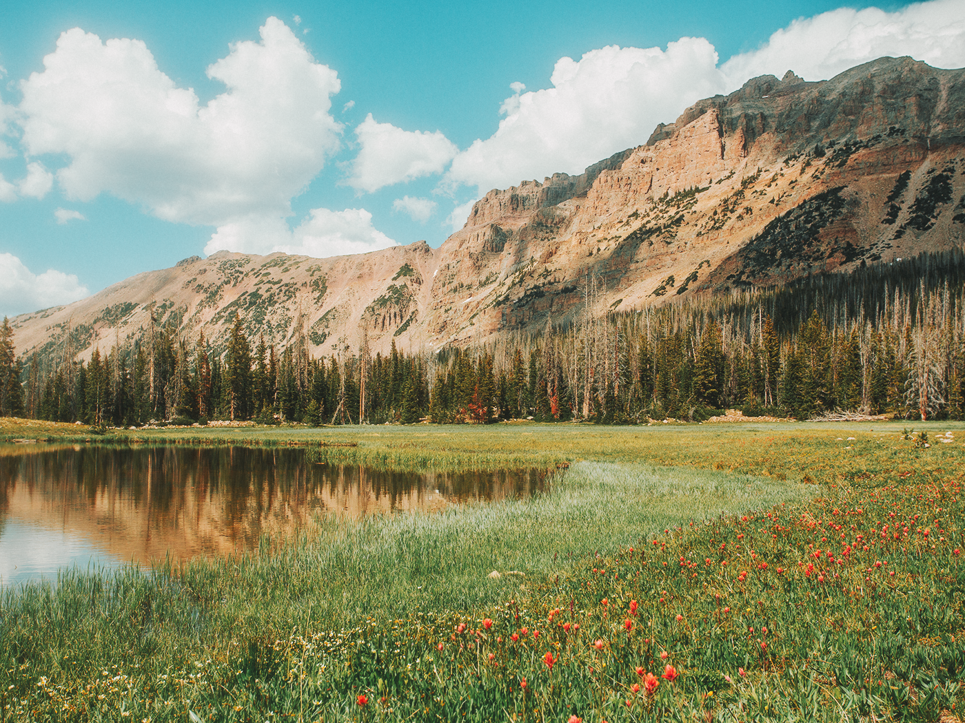 uinta_wilderness_2Z7A2414.png