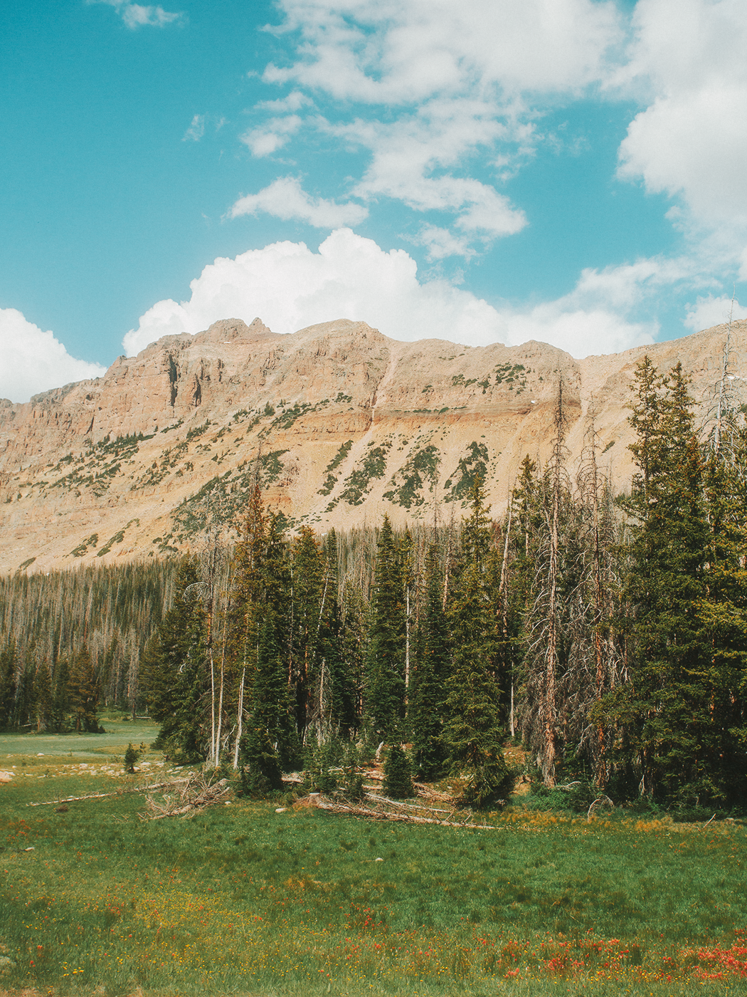 uinta_wilderness_2Z7A2430.png