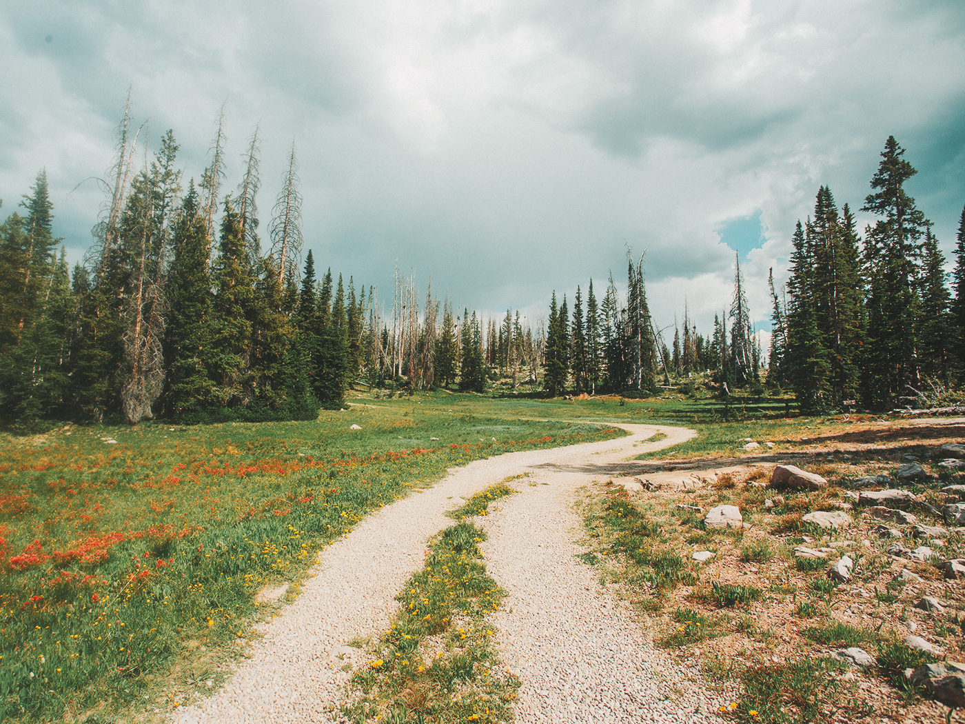 uinta_wilderness_2Z7A2434.png