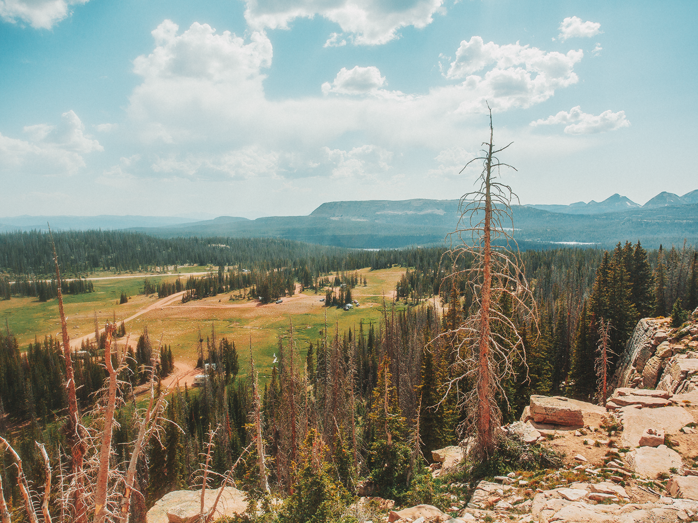 uinta_wilderness_2Z7A2539.png