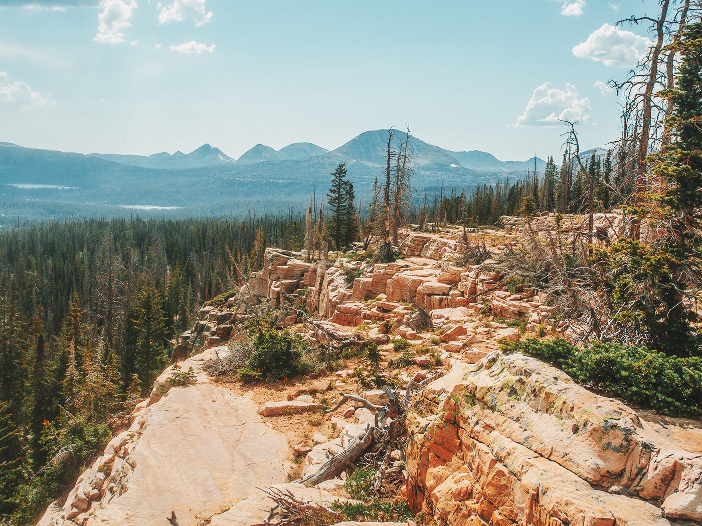 uinta_wilderness_2Z7A2568.png
