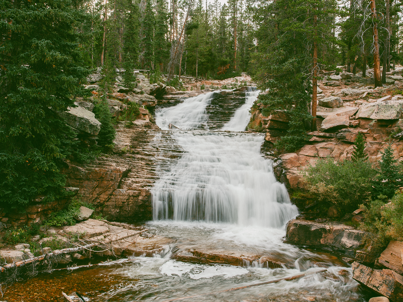 forest_waterfall_2Z7A6477.png