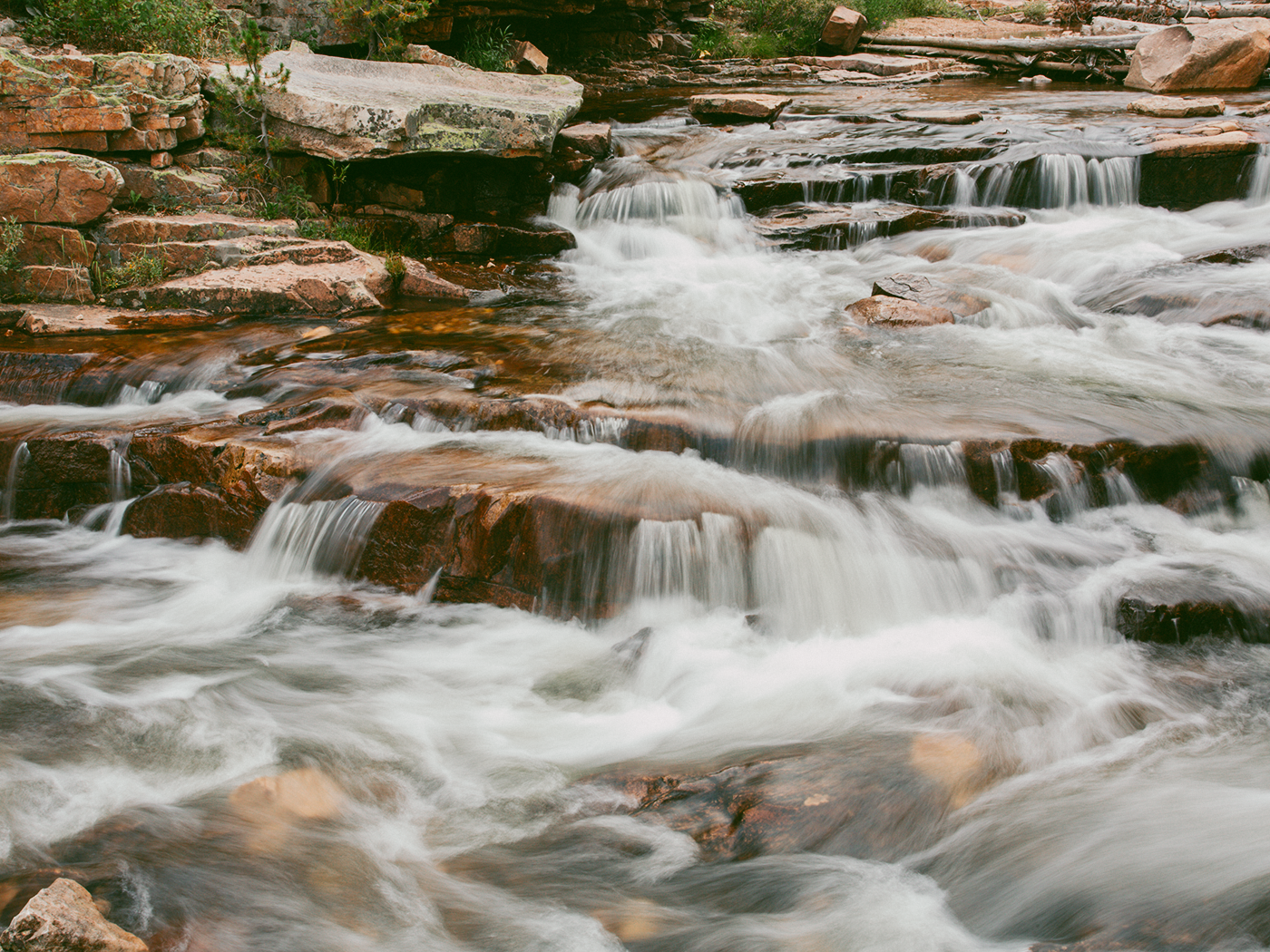 forest_waterfall_2Z7A6507.png