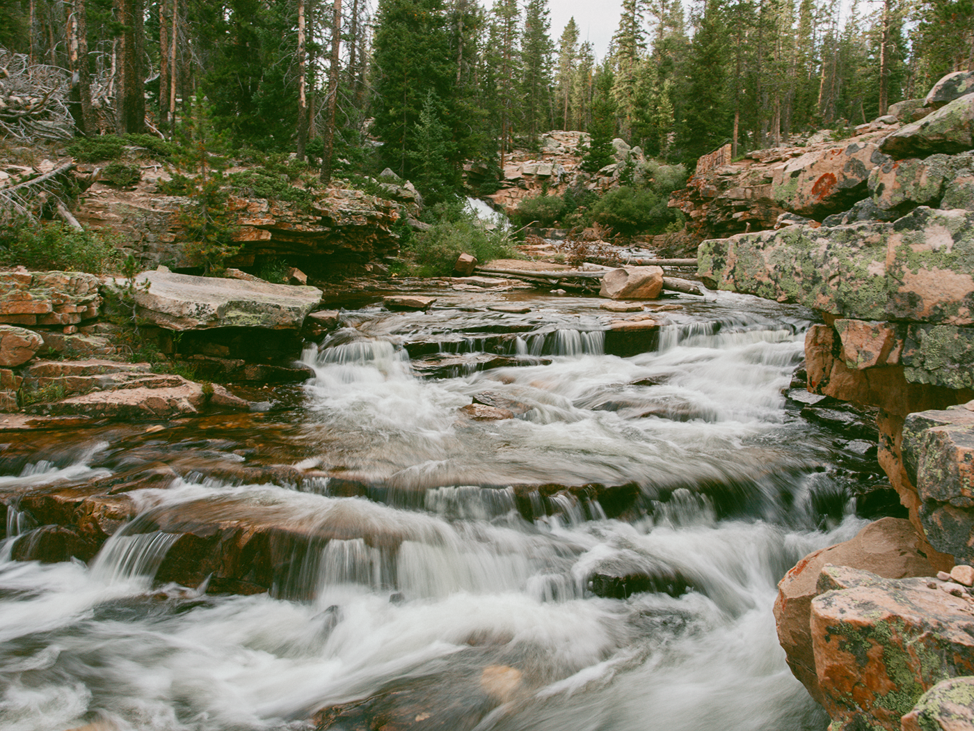 forest_waterfall_2Z7A6518.png
