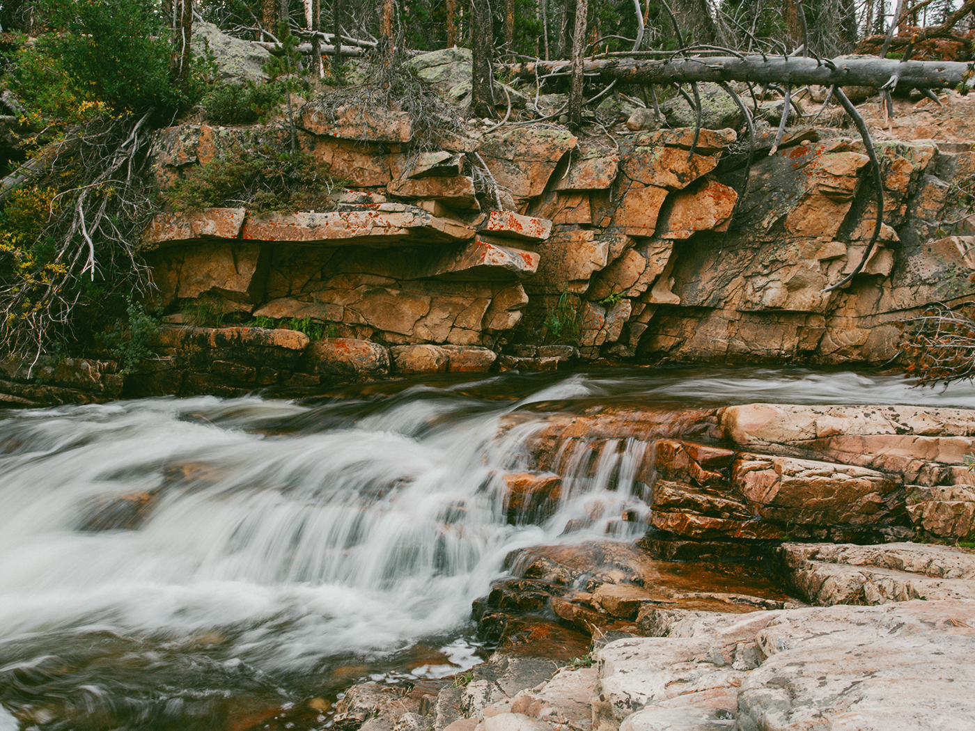 forest_waterfall_2Z7A6545.png
