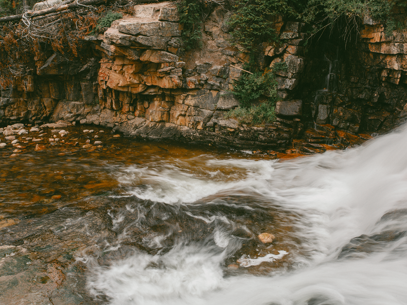 forest_waterfall_2Z7A6566.png
