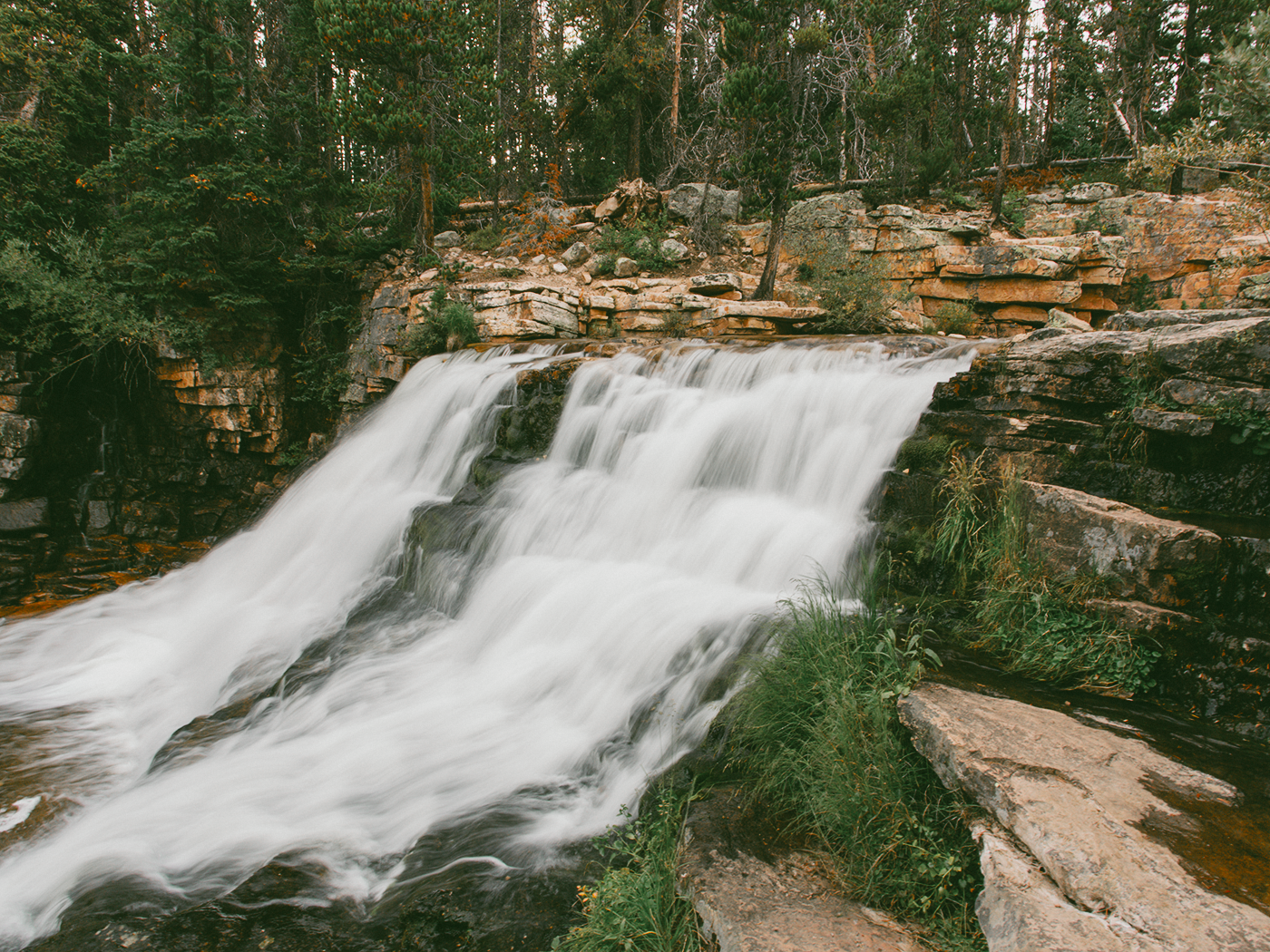 forest_waterfall_2Z7A6582.png