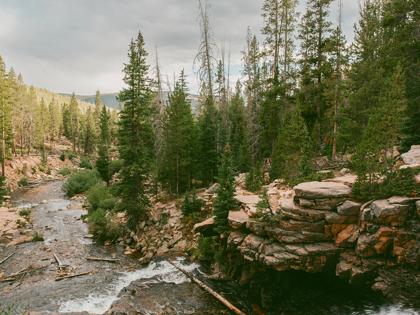 forest_waterfall_2Z7A6639.png
