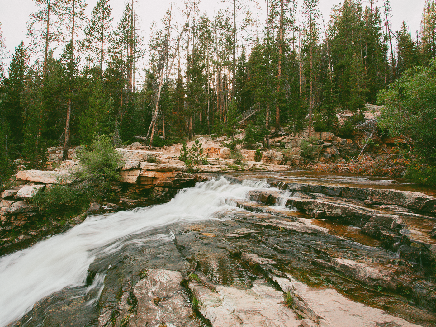 forest_waterfall_2Z7A6629.png