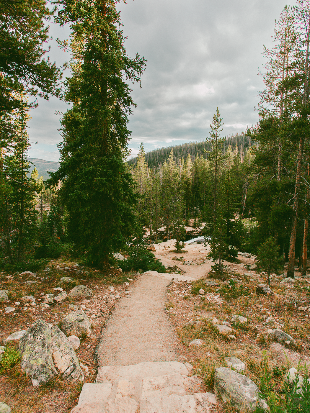 forest_waterfall_2Z7A6660.png