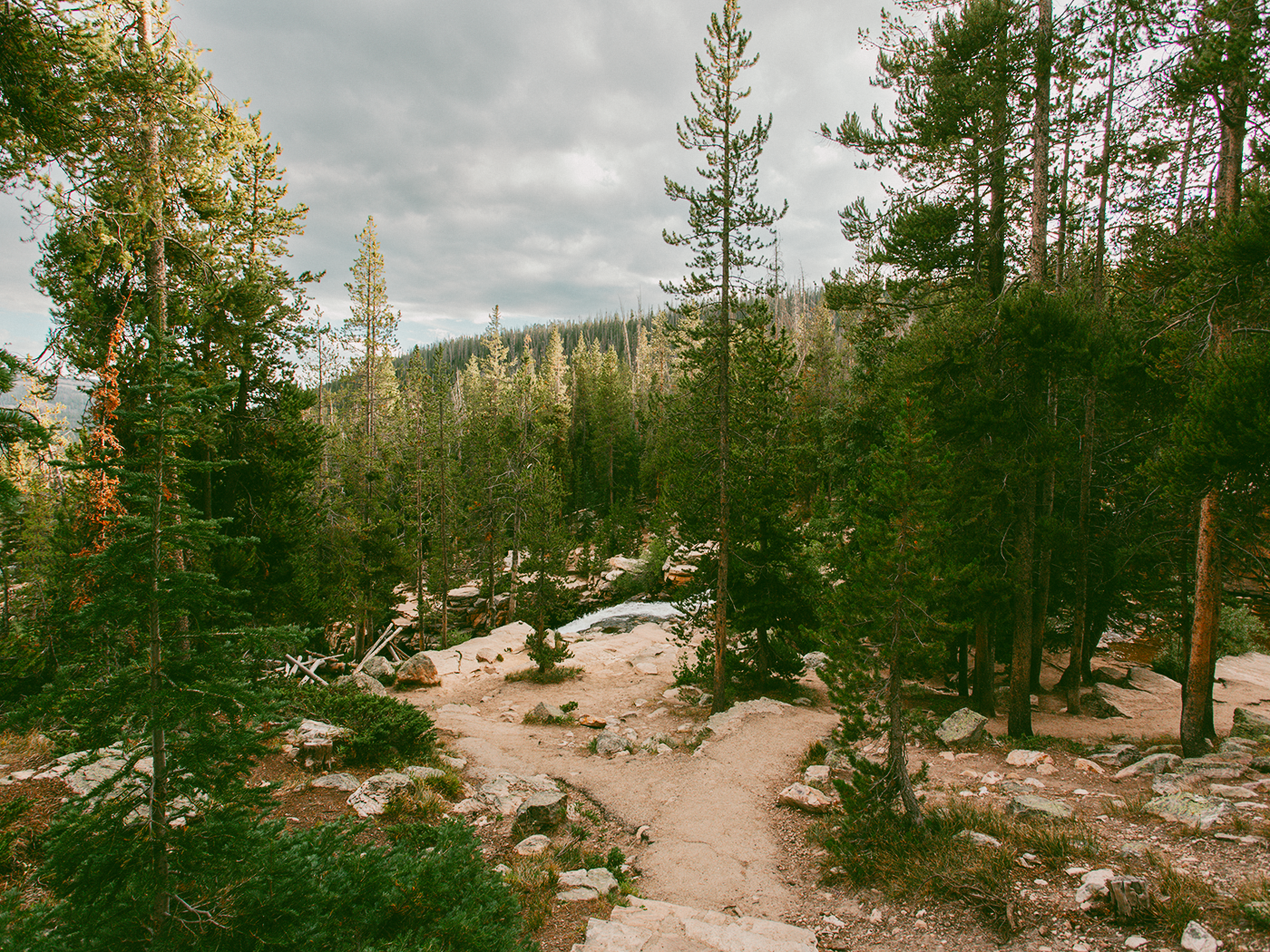 forest_waterfall_2Z7A6657.png