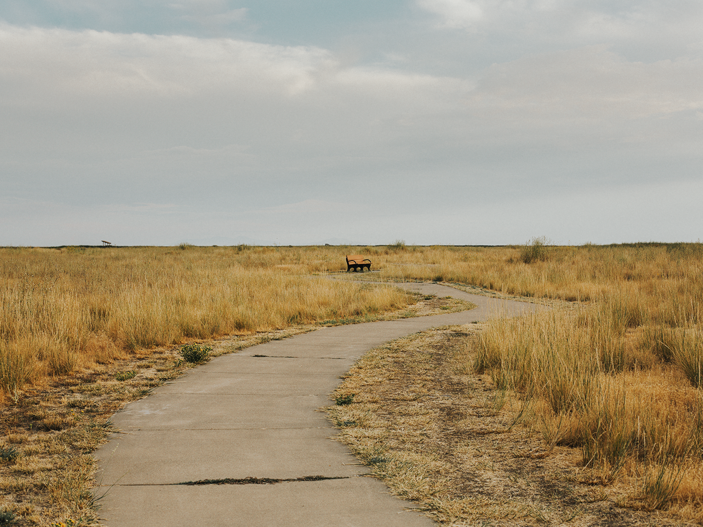 august_evening_2Z7A6985.png