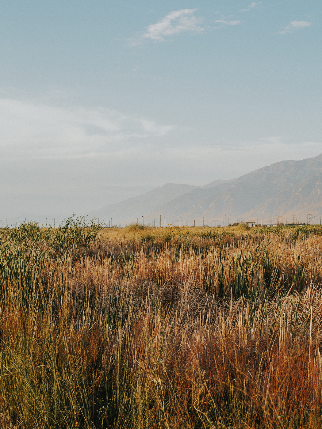 august_evening_2Z7A7023.png