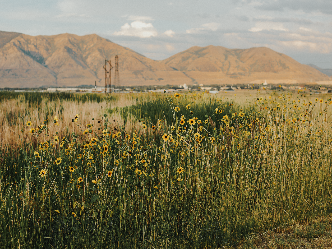 august_evening_2Z7A7057.png