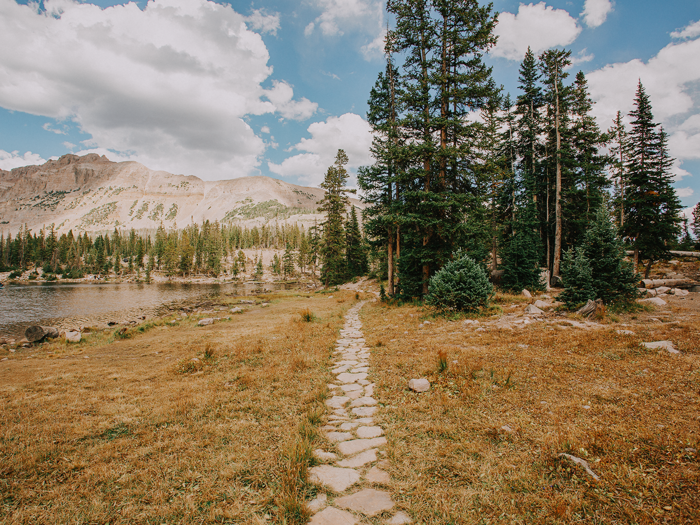 butterfly_lake_2Z7A5934.png
