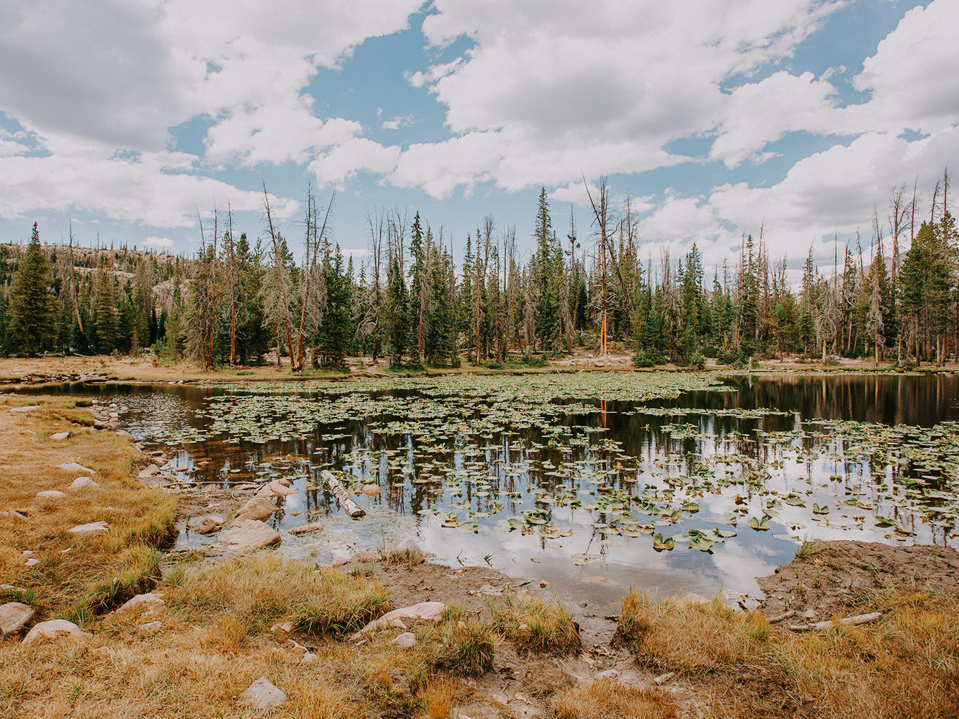 butterfly_lake_2Z7A5944.png