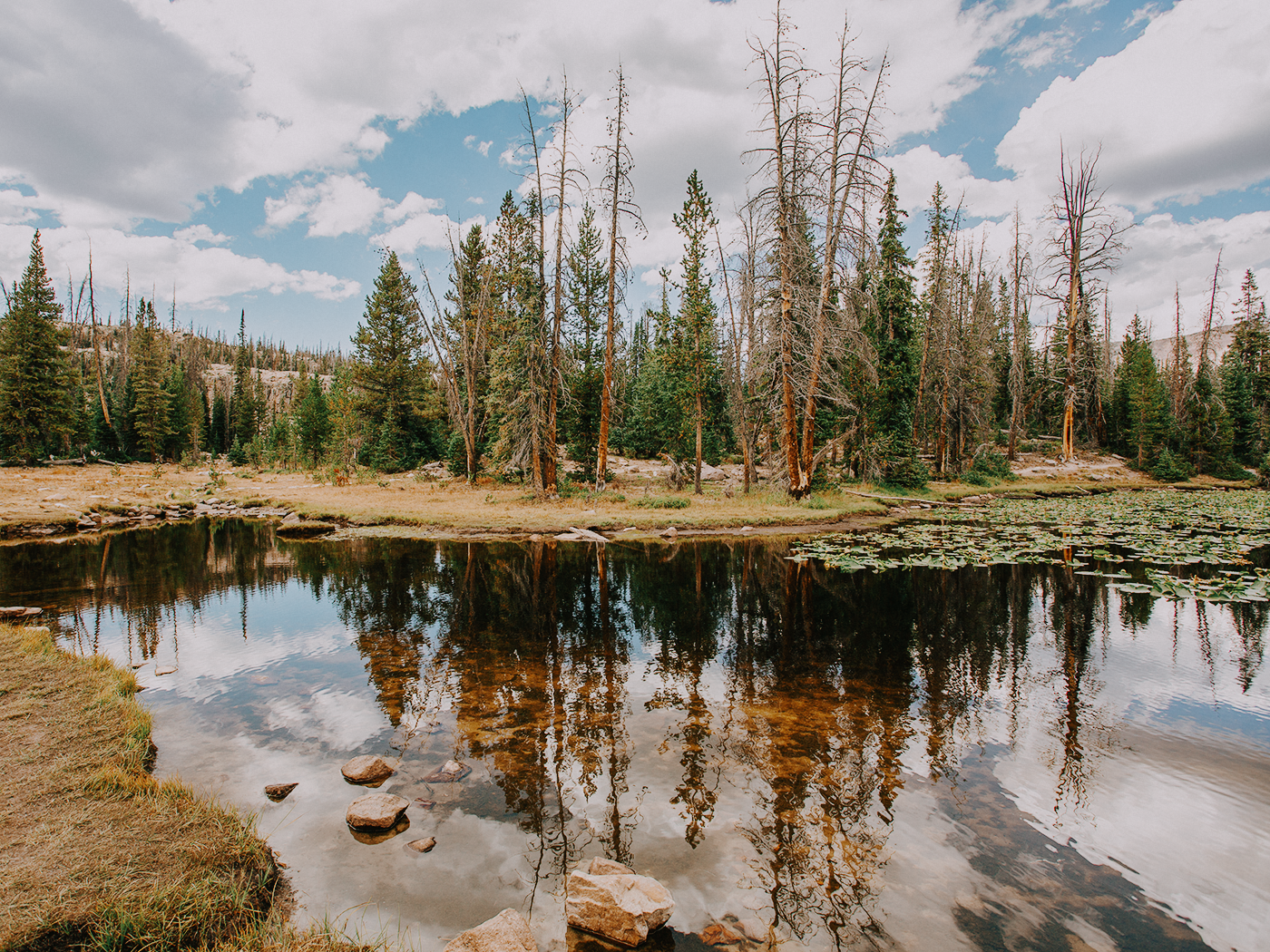 butterfly_lake_2Z7A5956.png
